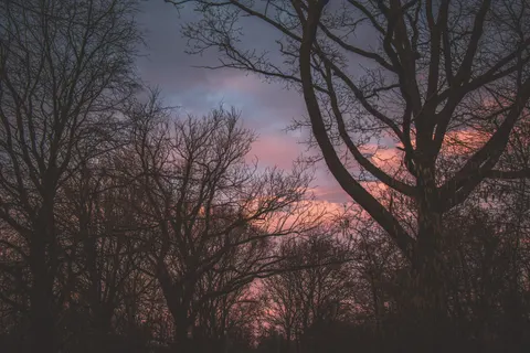 Sunset Silhouette 4K Wallpaper · sunset · 3840×2560