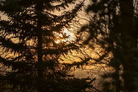 Sunset Silhouette 4K Wallpaper · sunset · 3840×2560
