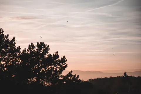Sunset Silhouette 4K Wallpaper · sunset · 3840×2560