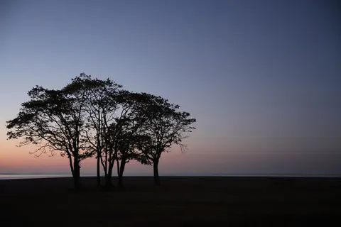 Sunset Silhouette 4K Wallpaper · sunset · 3840×2561