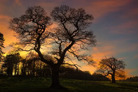 Sunset Silhouette 4K Wallpaper · sunset · 3840×2560