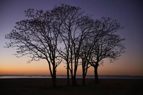 Sunset Silhouette 4K Wallpaper · sunset · 3840×2561
