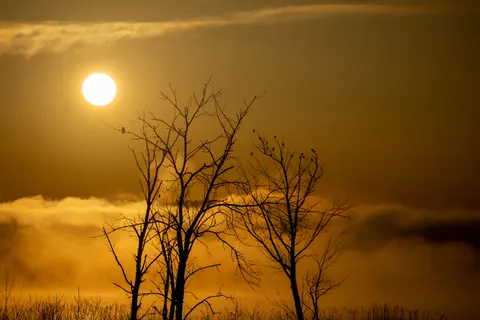 Sunset Silhouette 4K Wallpaper · sunset · 3840×2560