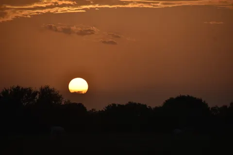Sunset Silhouette 4K Wallpaper · sunset · 3840×2560
