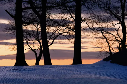 Sunset Silhouette 4K Wallpaper · sunset · 3840×2560