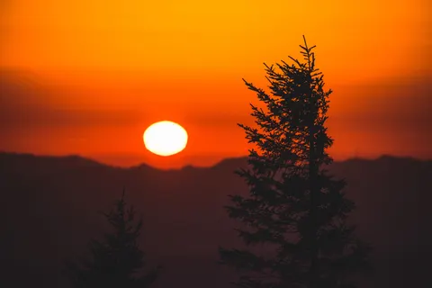 Sunset Silhouette 4K Wallpaper · sunset · 3840×2563