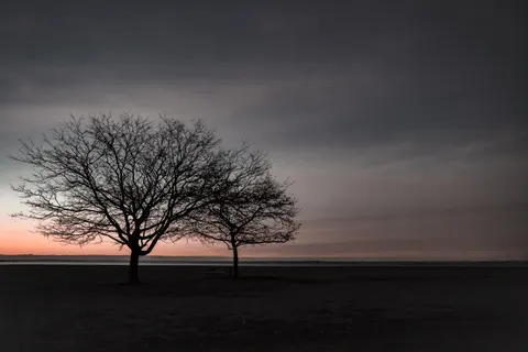 日落剪影 4K壁纸 · sunset · 3840×2561