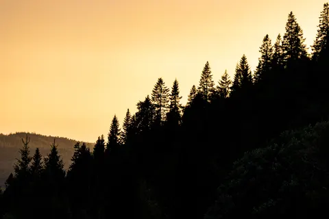 Sunset Silhouette 4K Wallpaper · sunset · 3840×2560