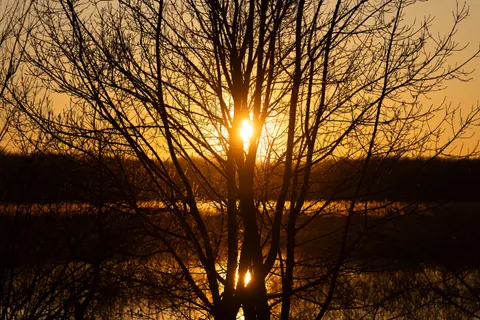 Sunset Silhouette 4K Wallpaper · sunset · 3840×2560