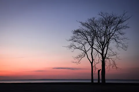 Sunset Silhouette 4K Wallpaper · sunset · 3840×2561