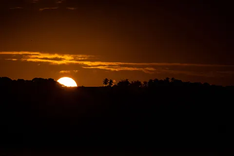Sunset Silhouette 4K Wallpaper · sunset · 3840×2560