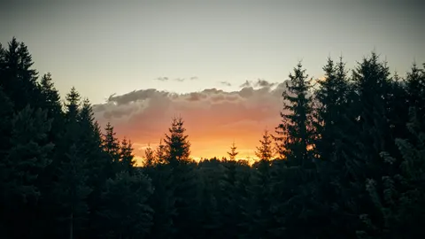 Sunset Silhouette 4K Wallpaper · sunset · 3840×2160