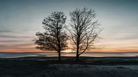 Sunset Silhouette 4K Wallpaper · sunset · 3840×2160