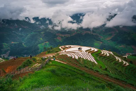 Rice Terraces 4K Wallpaper · nature · 3840×2567