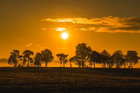 Sunset Silhouette 4K Wallpaper · sunset · 3840×2560