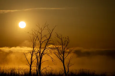 Sunset Silhouette 4K Wallpaper · sunset · 3840×2560