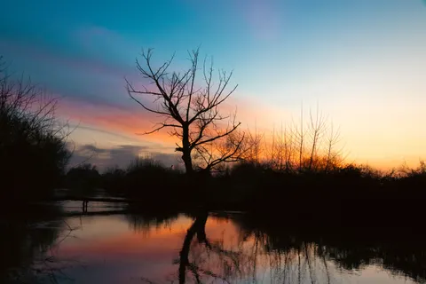 Sunset Silhouette 4K Wallpaper · sunset · 3840×2560