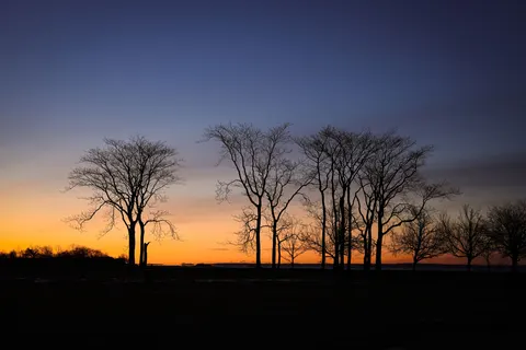 Sunset Silhouette 4K Wallpaper · sunset · 3840×2560