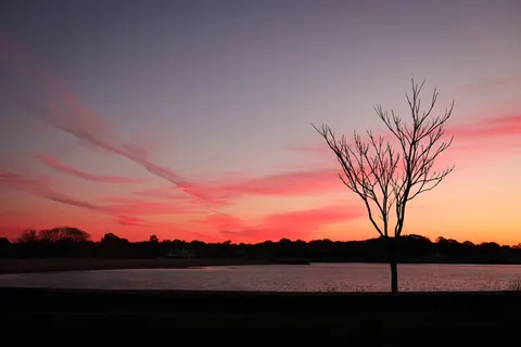 Sunset Silhouette 4K Wallpaper · sunset · 3840×2561