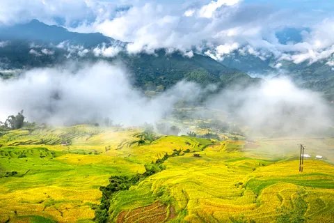 Rice Terraces 4K Wallpaper · nature · 3840×2561