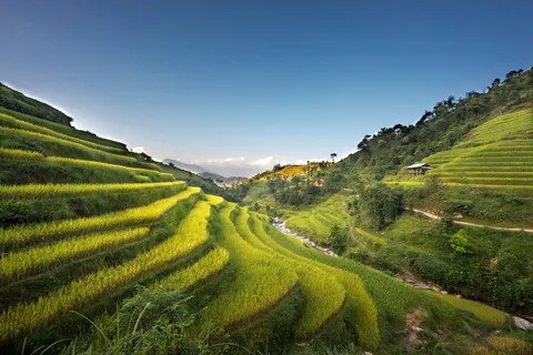 Rice Terraces 4K Wallpaper · nature · 3840×2561