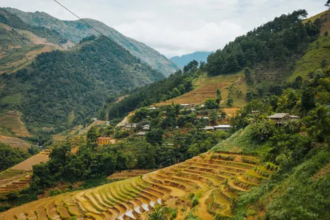 Rice Terraces 4K Wallpaper · nature · 3840×2560