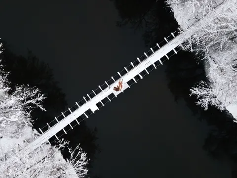 Aerial Forest 4K Wallpaper · aerial · 3840×2880
