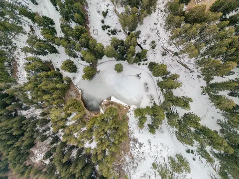 हवाई जंगल 4K वॉलपेपर · aerial · 3840×2880