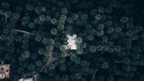 Aerial Forest 4K Wallpaper · aerial · 3840×2160