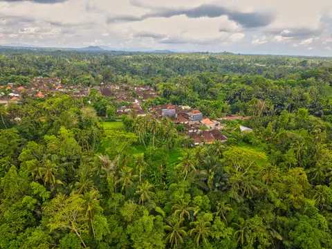 Aerial Forest 4K Wallpaper · aerial · 3840×2880