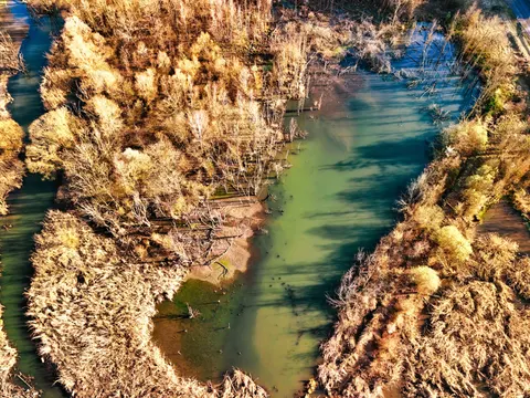 Aerial Forest 4K Wallpaper · aerial · 3840×2880