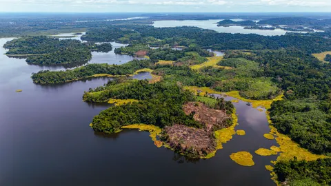 Aerial Forest 4K Wallpaper · aerial · 3840×2160