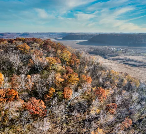 Aerial Forest 4K Wallpaper · aerial · 3840×3546