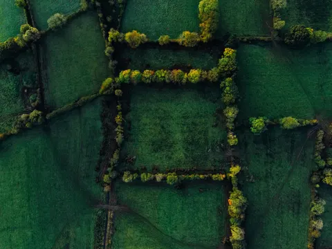 Aerial Forest 4K Wallpaper · aerial · 3840×2880