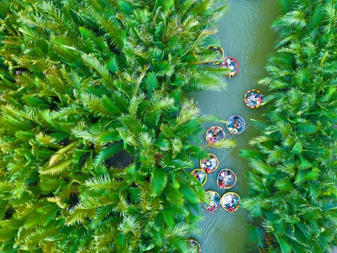 Aerial Forest 4K Wallpaper · aerial · 3840×2880
