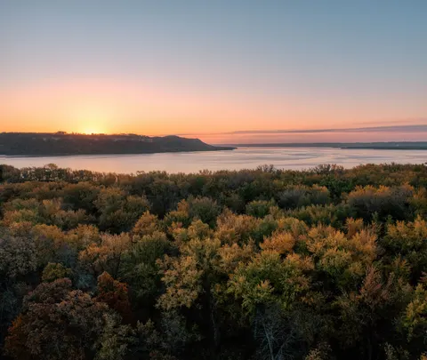 Aerial Forest 4K Wallpaper · aerial · 3840×3241