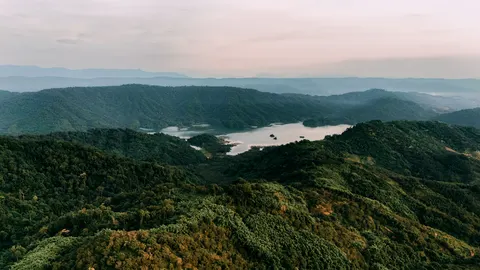 Aerial Forest 4K Wallpaper · aerial · 3840×2160