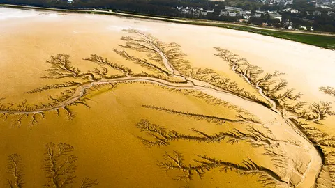 Aerial River 4K Wallpaper · aerial · 3840×2160