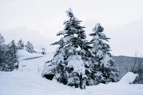 Winter Cabin 4K Wallpaper · winter · 3840×2560