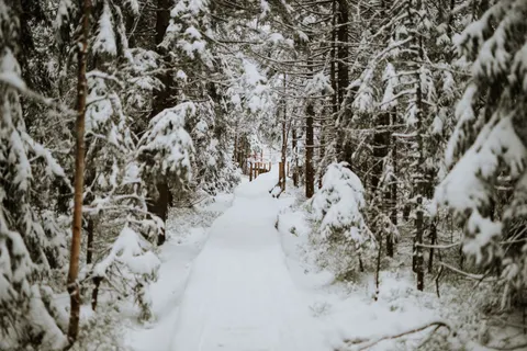 Winter Cabin 4K Wallpaper · winter · 3840×2560