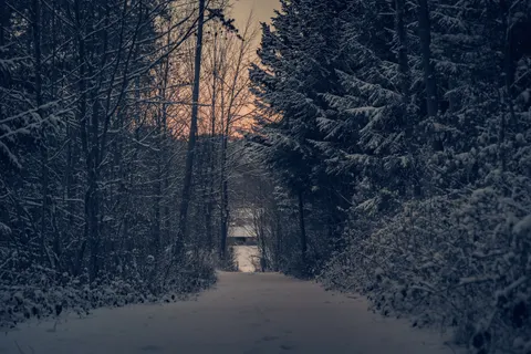 Winter Cabin 4K Wallpaper · winter · 3840×2560