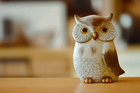 猫头鹰肖像 4K壁纸 · birds · 3840×2560