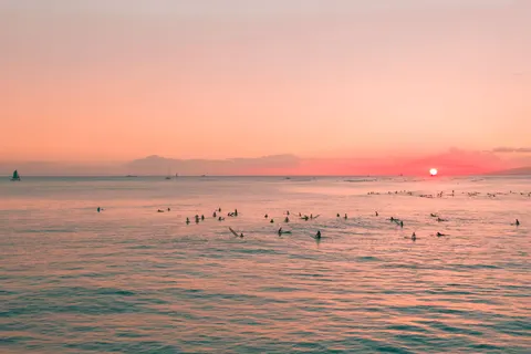 Flamingo Flock 4K Wallpaper · birds · 3840×2558
