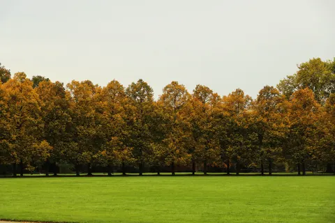 Autumn Forest Path 4K Wallpaper · autumn · 3840×2560