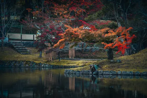 Autumn Maple Leaves 4K Wallpaper · autumn · 3840×2560