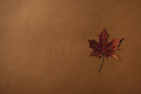 Autumn Maple Leaves 4K Wallpaper · autumn · 3840×2561