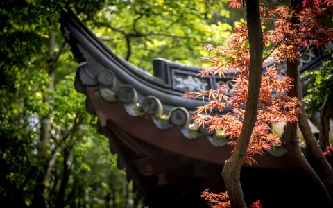 Autumn Maple Leaves 4K Wallpaper · autumn · 3840×2400