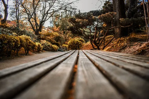 Autumn Park 4K Wallpaper · autumn · 3840×2560