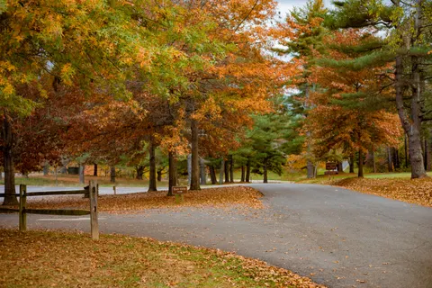 Autumn Park 4K Wallpaper · autumn · 3840×2560