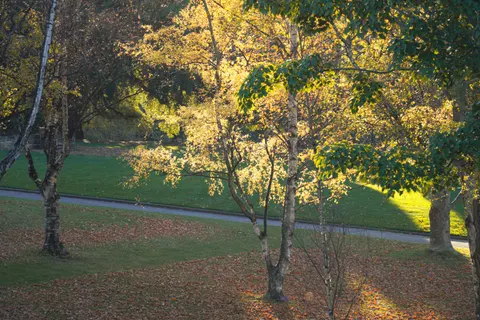 Papel de parede Parque de outono 4K · autumn · 3840×2560